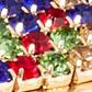 2-Piece Sparkling Barrette Set - Image 2