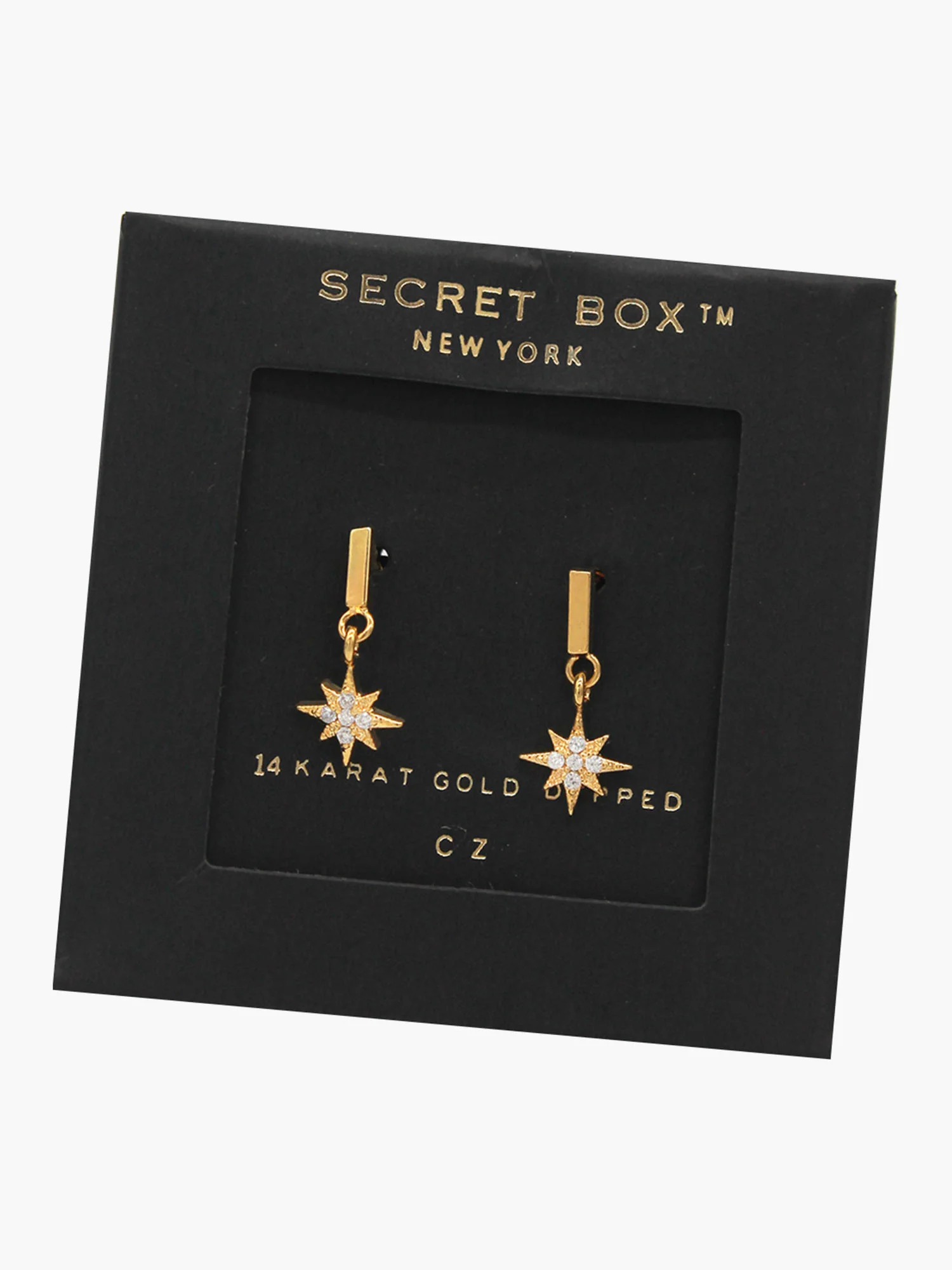 Secret Box 14K Gold North Star Earrings - Brands We Love - Image 2