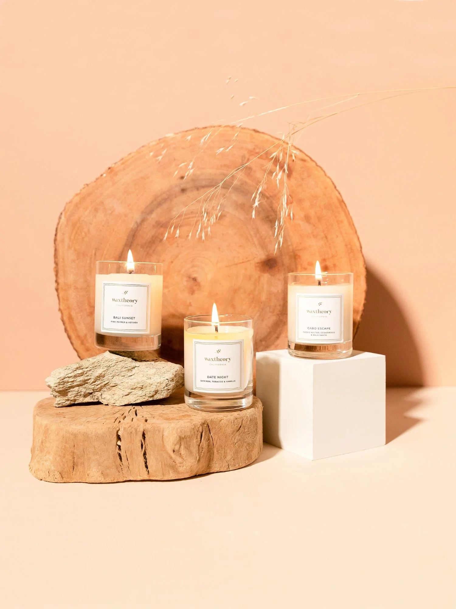 Waxtheory 3-Piece Woods Votive Set - Brands We Love