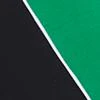 Colorblock Jogger Pant - Image 8