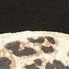 Leopard Lipstick-Print Tee - Image 4