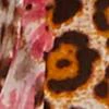 Leopard-Print Bustier Top - Image 3