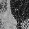 Fate Inc Leopard-Print Fuzzy-Knit Cardigan - Brands We Love - Image 7