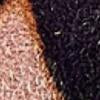Pinch Provisions Leopard-Print Minimergency Kit - Brands We Love - Image 10