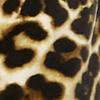 Leopard-Print Velour Jogger Pant - Dreamy Velour Collection - Image 4