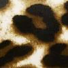 Leopard-Print Velour Sweatshirt - Dreamy Velour Collection - Image 3