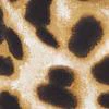 'Love' Leopard-Print Top - Image 5