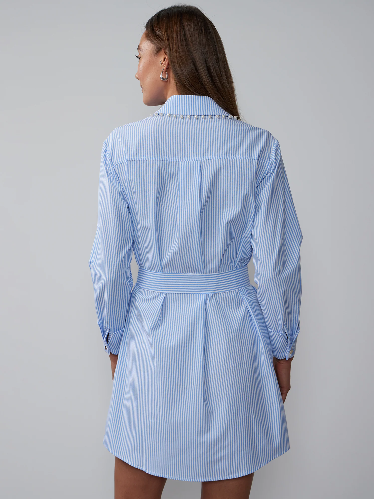 Striped Pearl Trim Poplin Shirt Dress - Image 3