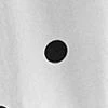 Madison Roll-Sleeve Button-Front Secret Snap Shirt - Polka-Dot - Image 4