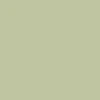 Mantra Top, Misty Olive - Dippin' Daisy's - Image 6