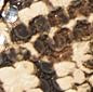 Mini Double O-Ring Belt - Image 6