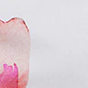 Petite Floral Button-Front Secret Snap - NY&C Madison Shirt® - Image 4