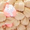Shiraleah Pink Knotted Straw Headband - Brands We Love - Image 3
