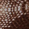Snake-Print Sleeveless Top - Image 4