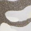 Super-Soft Knit Jogger Pant - Camo-Print - Image 9