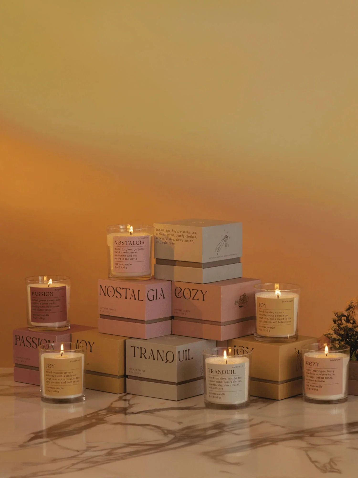 Paddywax Tranquil Lush Palms Candle - Brands We Love - Image 2