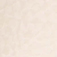Sarah Pump - Image 14